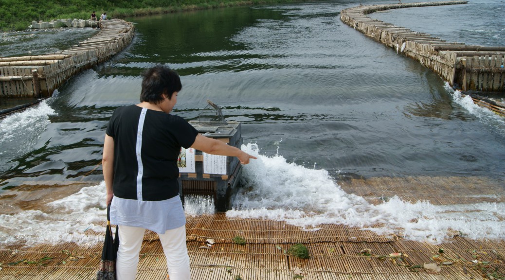 SONY DSC